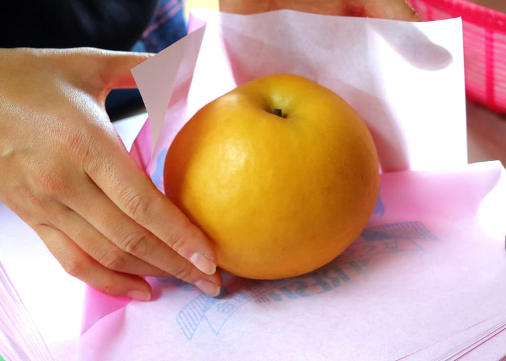 梨の販売価格画像