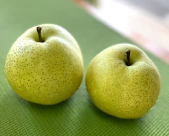 TOP下部スライダー画像1