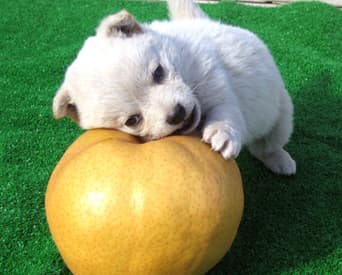 TOP下部スライダー画像3