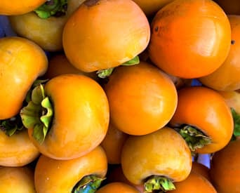 TOP下部スライダー画像4