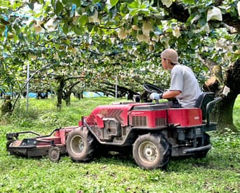 TOP下部スライダー画像5