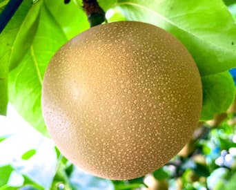 TOP下部スライダー画像6