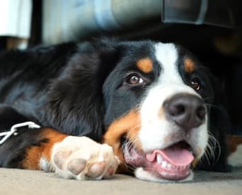 TOP下部スライダー画像7