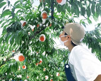 TOP下部スライダー画像8