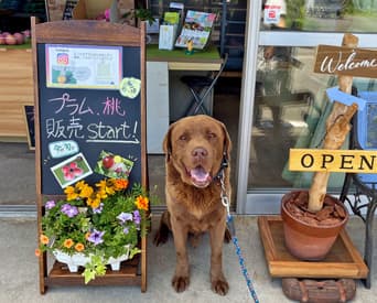 TOP下部スライダー画像11