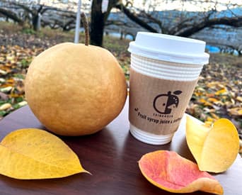 TOP下部スライダー画像15