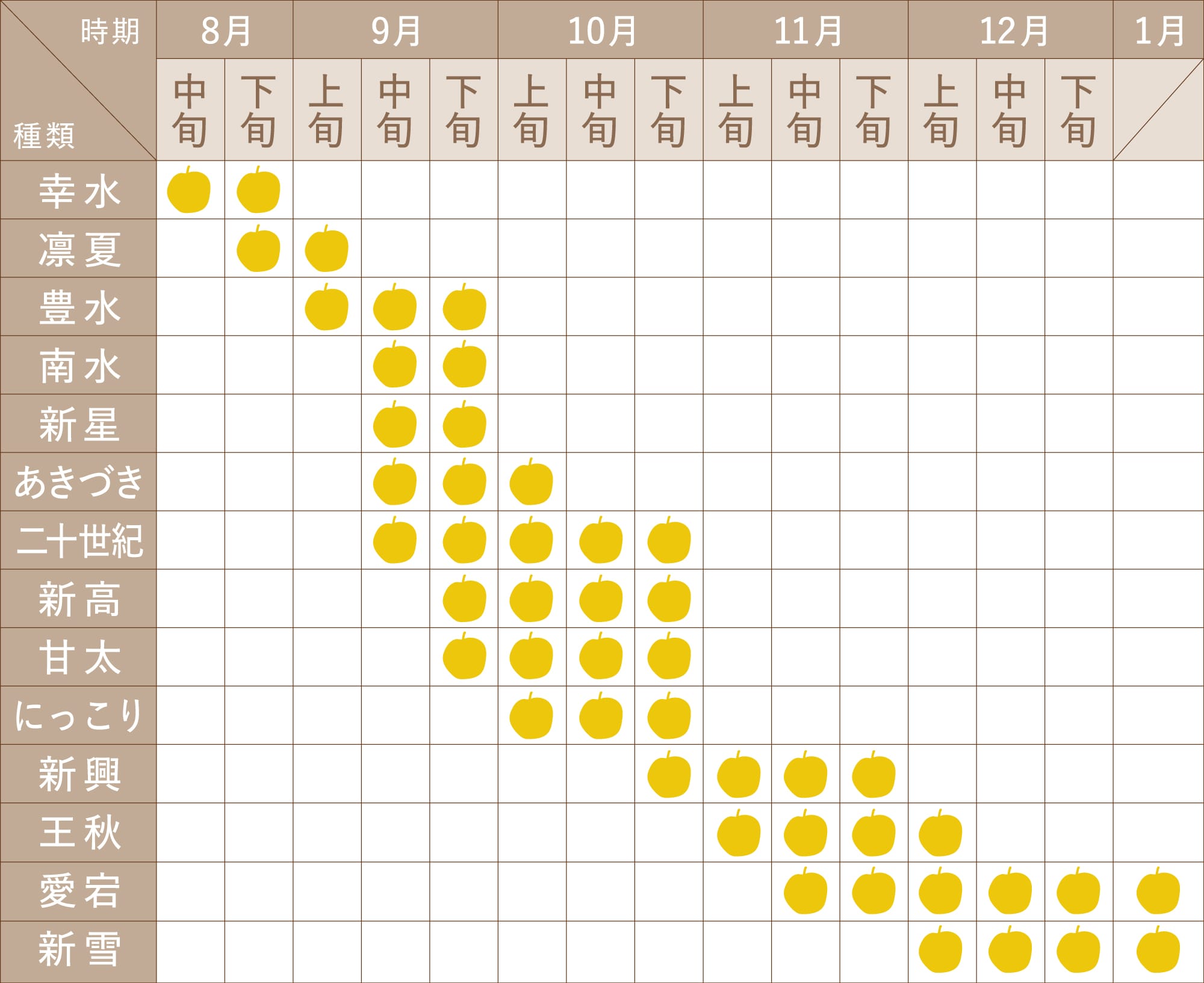 梨の収穫時期チャート